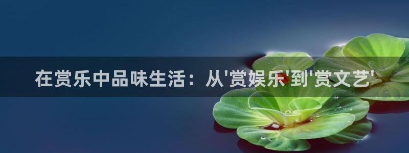 摩登7 lite注册：在赏乐中品味生活：从\'赏娱乐\'到\'赏文艺\'