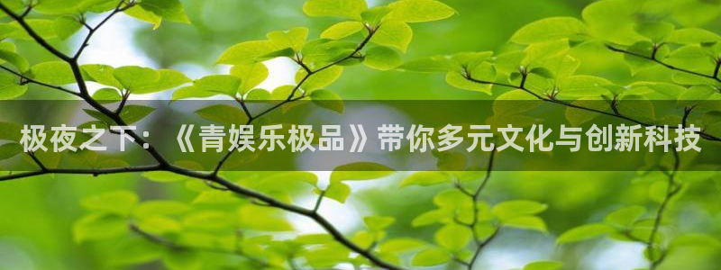 摩登7平台注册：极夜之下：《青娱乐极品》带你多元文化与创新科技