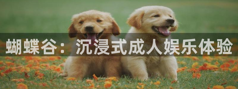 摩登7注册：蝴蝶谷：沉浸式成人娱乐体验