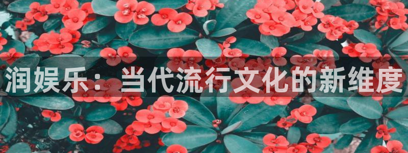 摩登7登录注册：润娱乐：当代流行文化的新维度