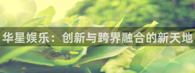 摩登7登录官网：华星娱乐：创新与跨界融合的新天地