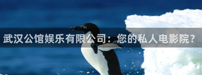 摩登7登录官网：武汉公馆娱乐有限公司：您的私人电影院？