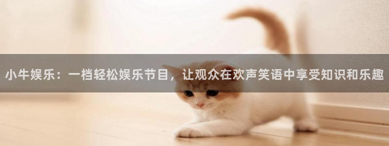 摩登7登录：小牛娱乐：一档轻松娱乐节目，让观众在欢声笑语中享受知识和乐趣