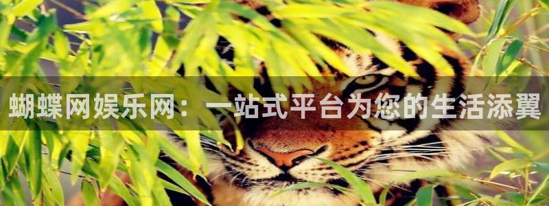 摩登7：蝴蝶网娱乐网：一站式平台为您的生活添翼